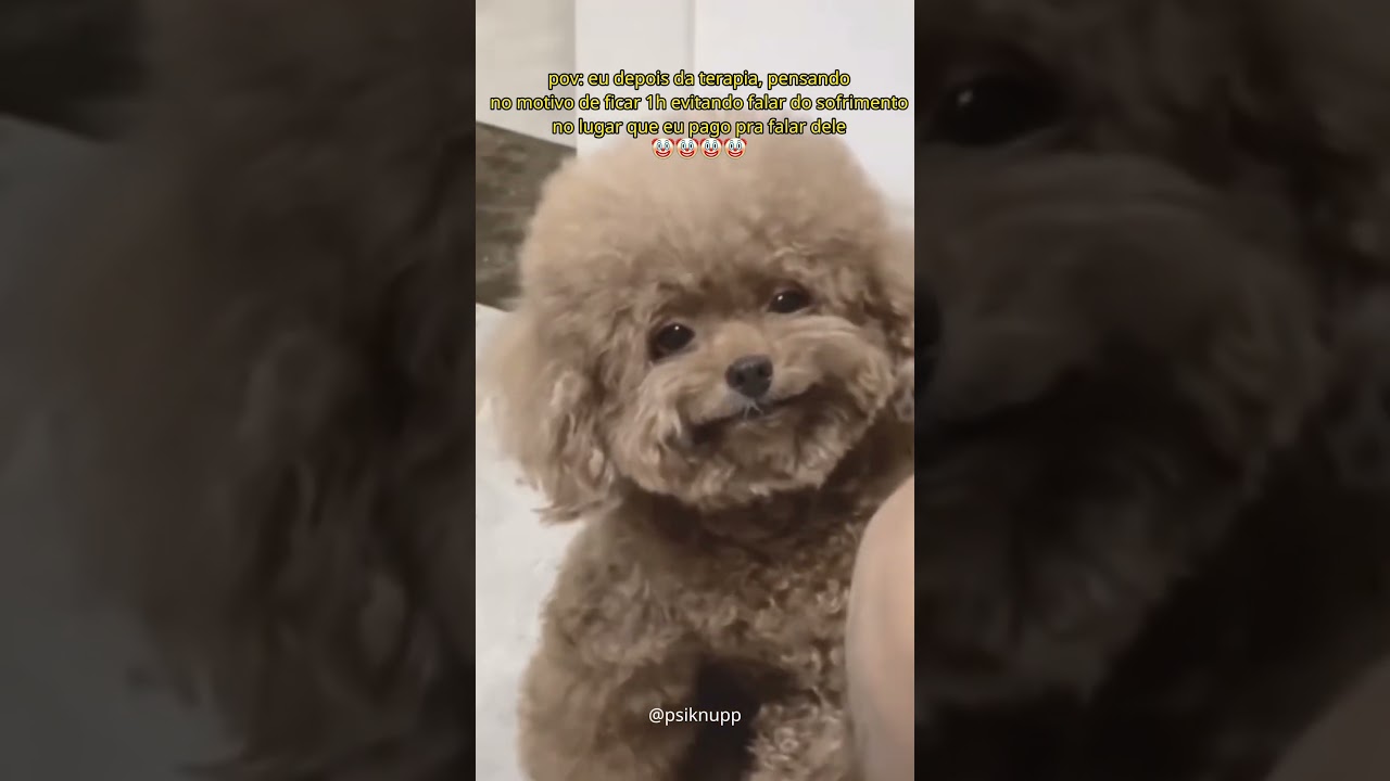 😂😂😂😂🤡 #humor #terapia #psicologa #psicologo