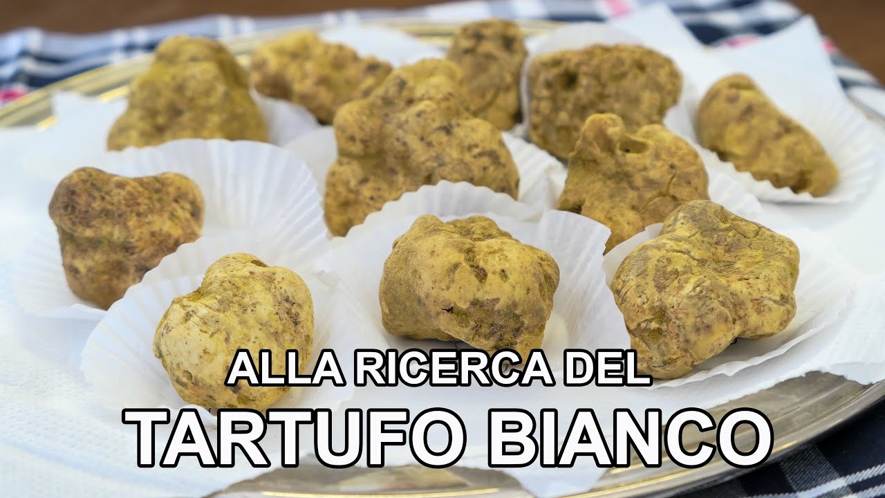 TARTUFO BIANCO di Moncalvo e Pranzo all'Osteria delle Zucche Vuote