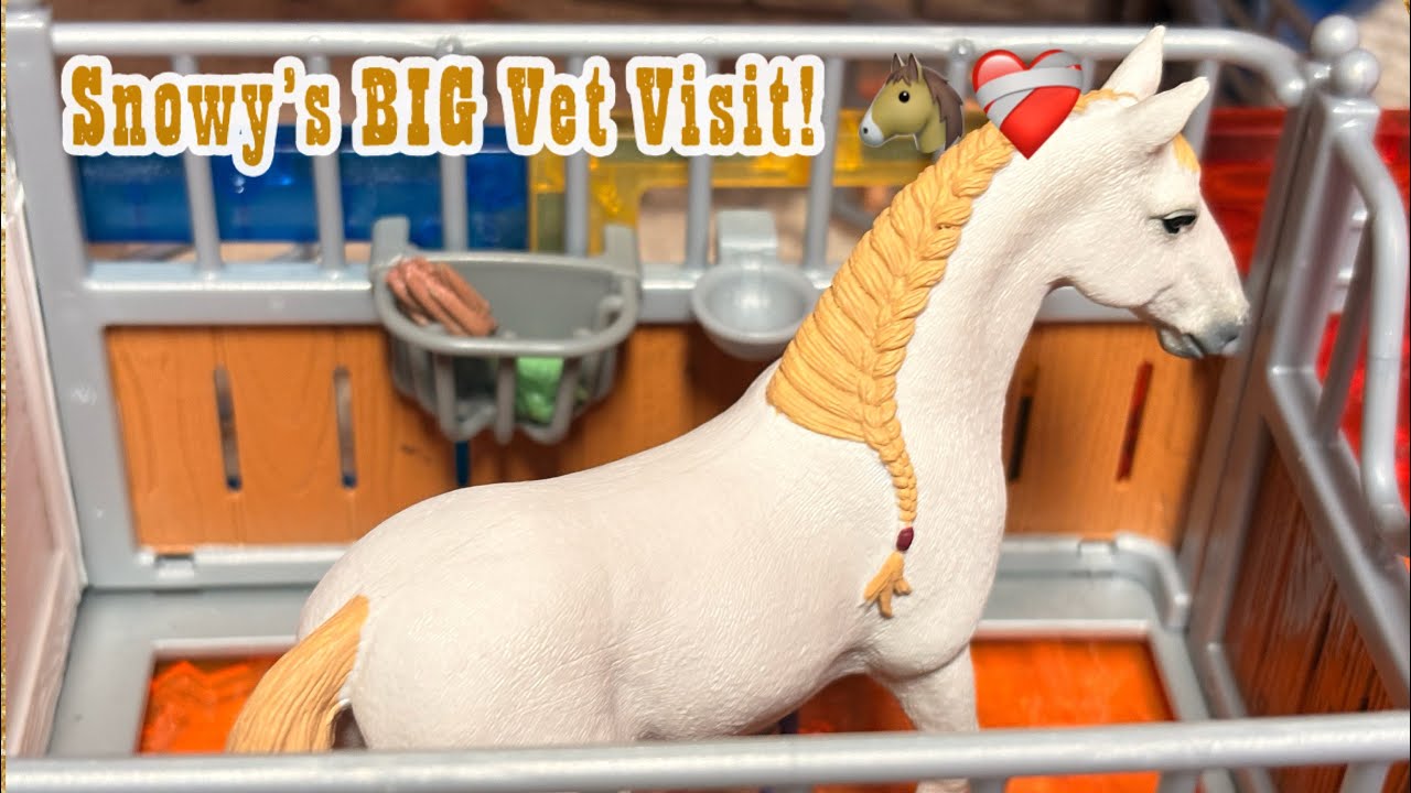 Snowy’s big vet visit! Come see what happened to snowy at the Weber Ranch! 