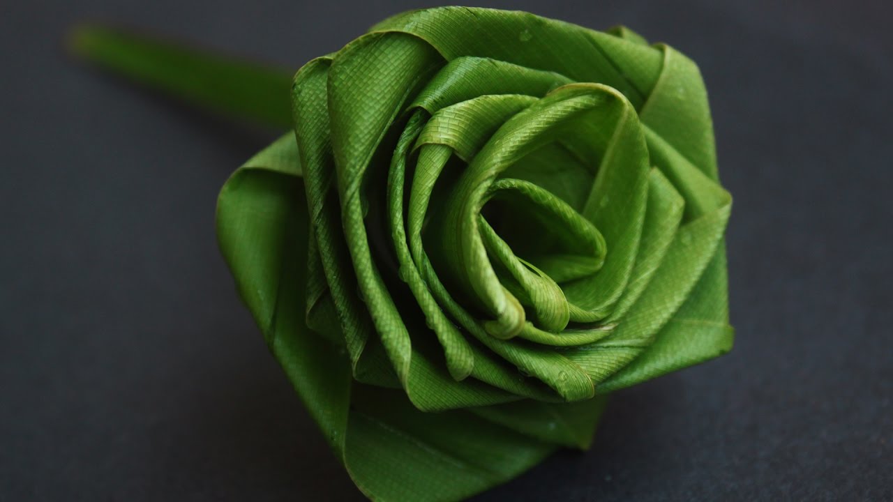 Rose Flower with coconut leaf In Nature Arts By Srujana TV