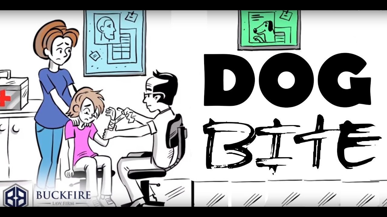 What To Do If You've Been Bitten By A Dog