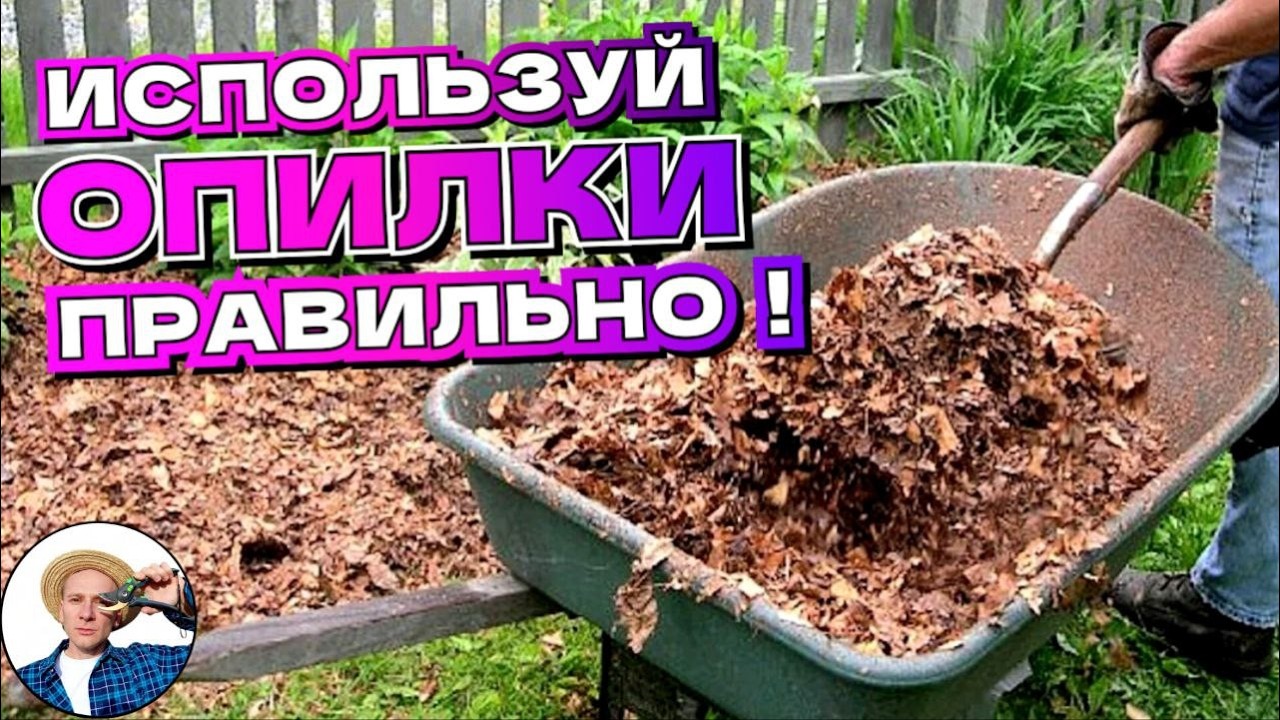 КАК НЕ НАВРЕДИТЬ ОПИЛКАМИ В ОГОРОДЕ? Польза и Вред