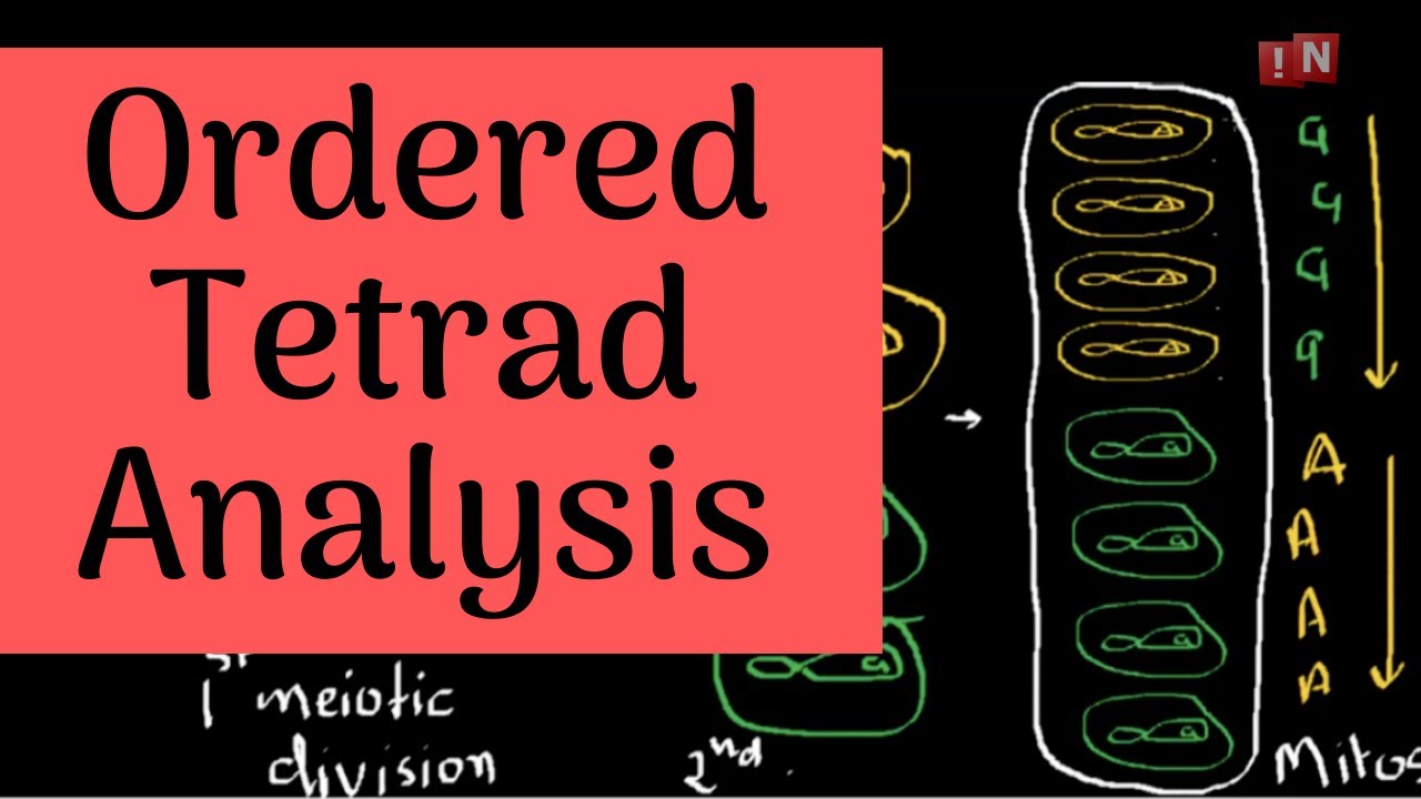 Tetrad Analysis-Part I-Ordered Tetrad Analysis