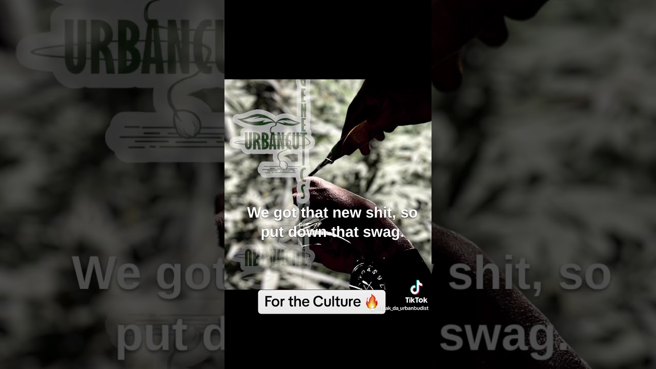 Thank God It&rsquo;s Monday! Music for My #Growers #cannalove #topofthepot