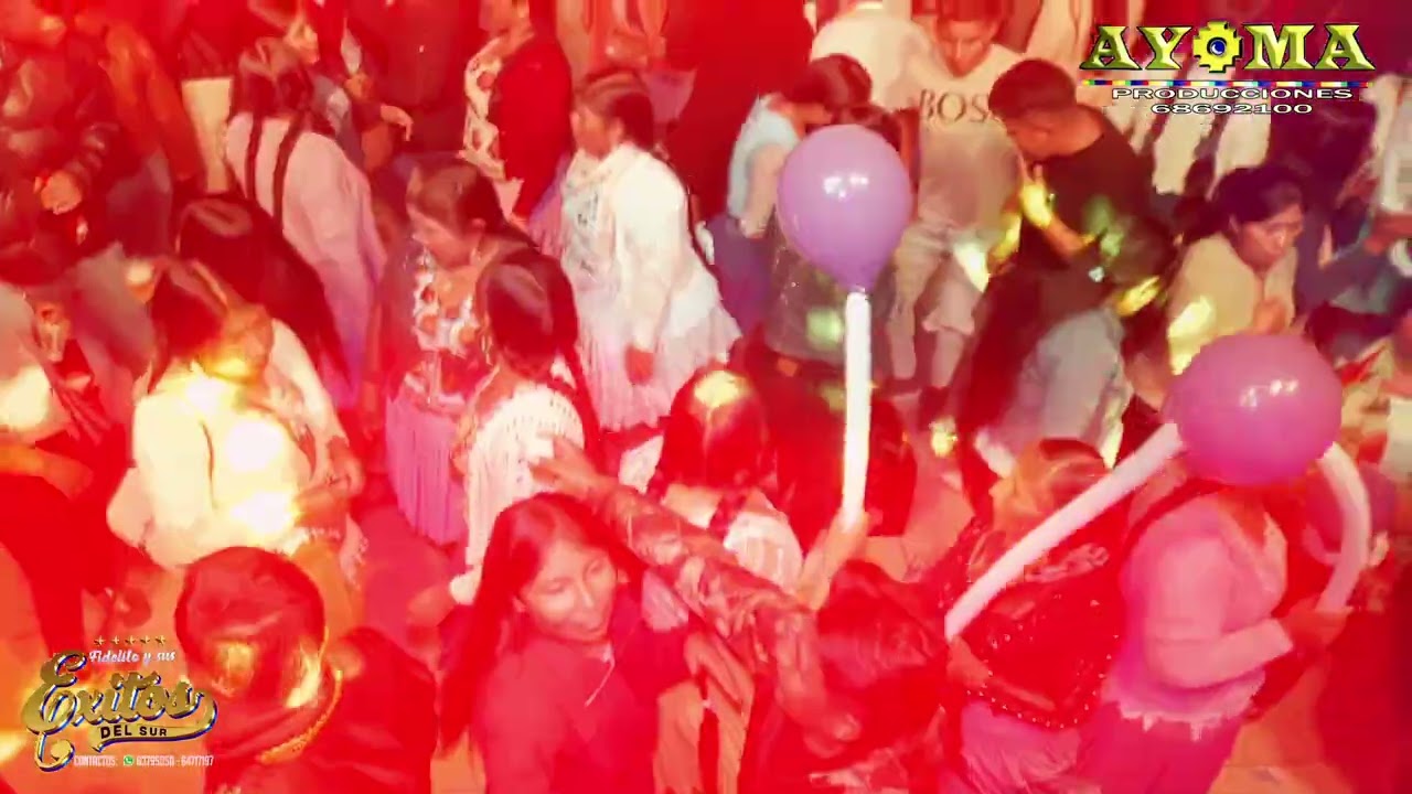 FIDELITO Y SUS EXITOS DEL SUR 2