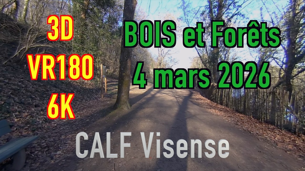 VR180 3D 6K - Promenade matinale - 4 mars 2026