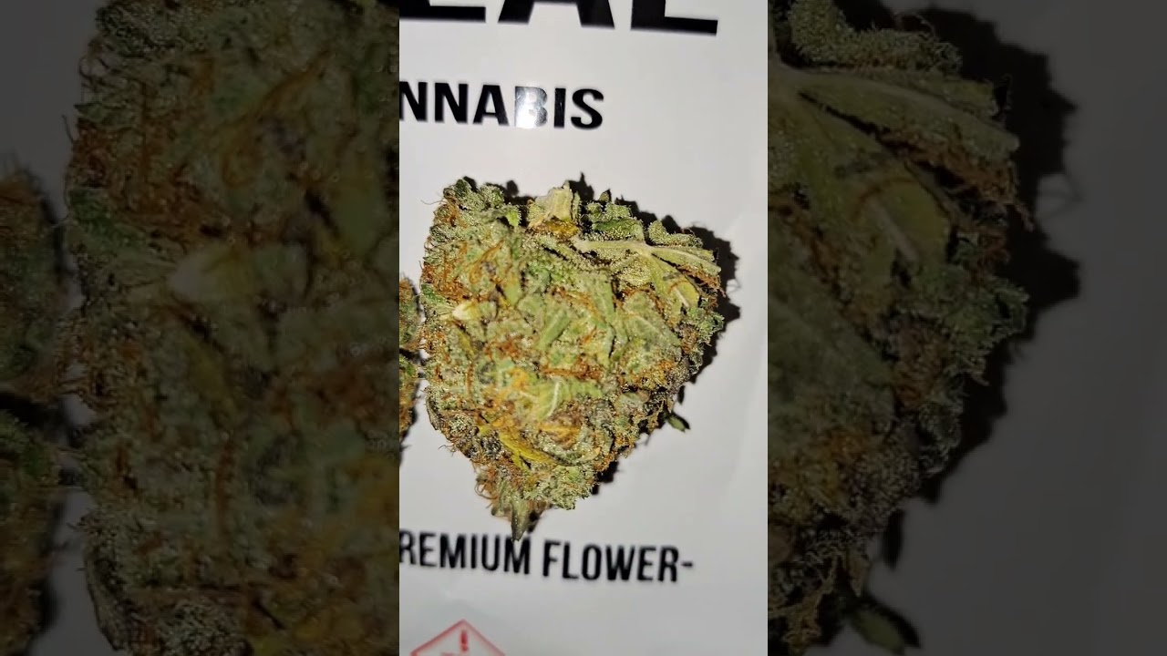 Strawberry Pancakes ~ Goldflower / Goldleaf  Dispensary Organic Living Soil Florida Medical Cannabis