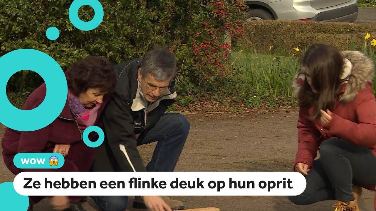 Familie vindt meteorieten van 5 miljard jaar oud