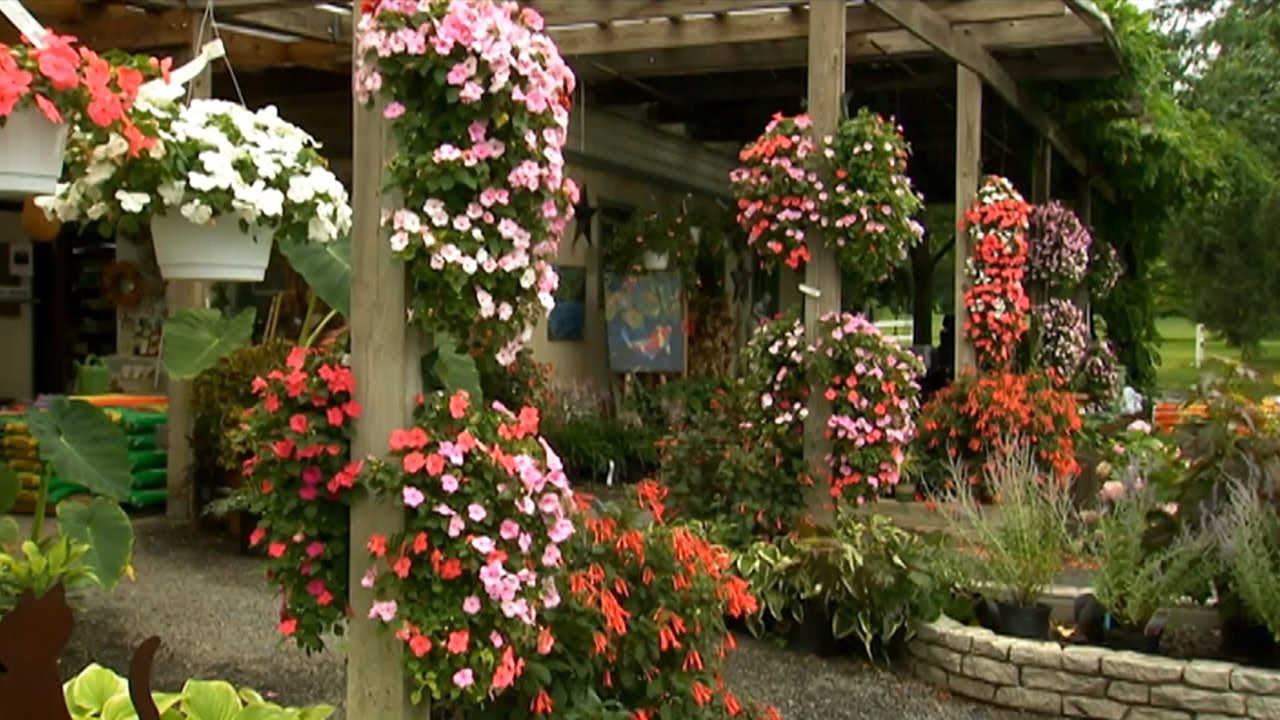 How to Hang Plant Pouches | P. Allen Smith Classics