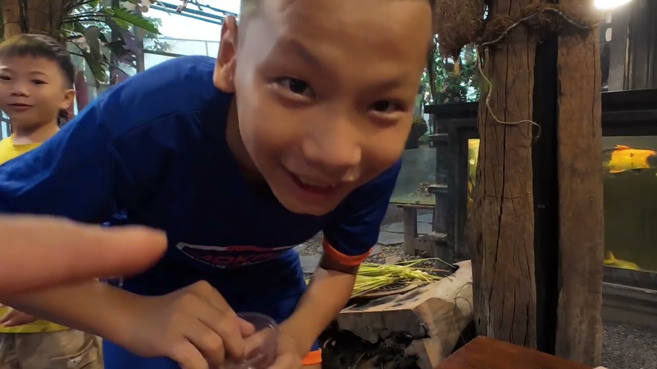 Quán Cafe Siêu Dễ Thương Ở Quận 10 Dành Cho Những Ai Yêu Động Vật | Nhà Trọ |