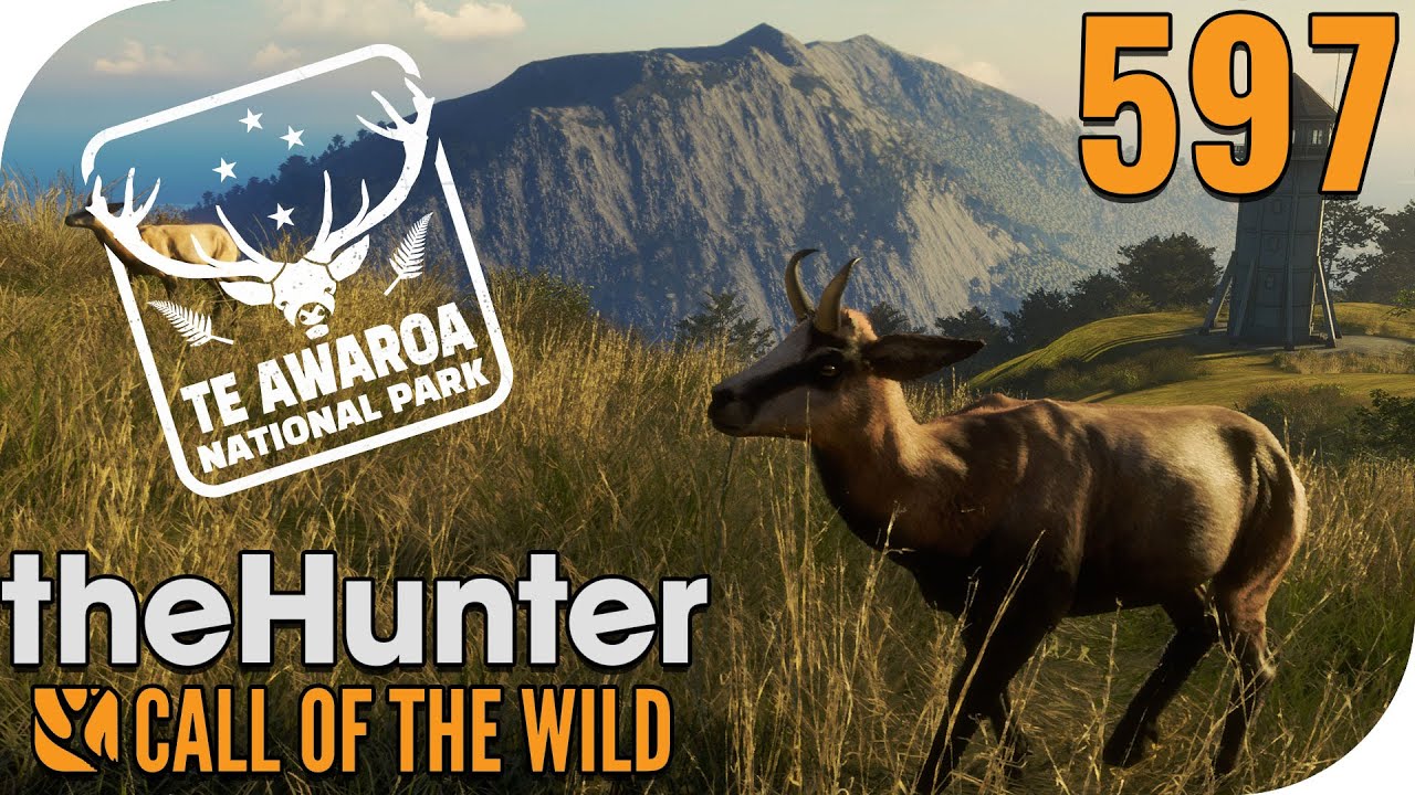 THE HUNTER: CALL OF THE WILD #597- NEUSEELAND, ERSTER BLICK! 🐗 || PantoffelPlays