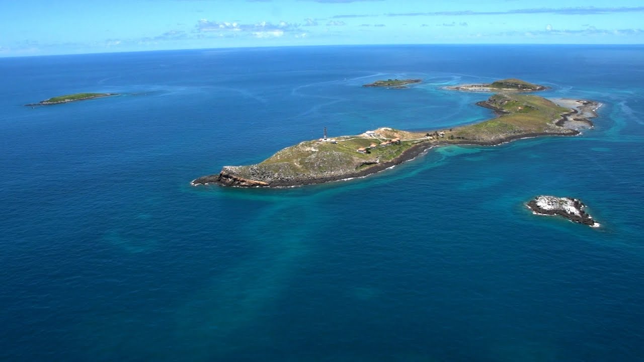 Caminhos da Reportagem | Azul da cor de Abrolhos