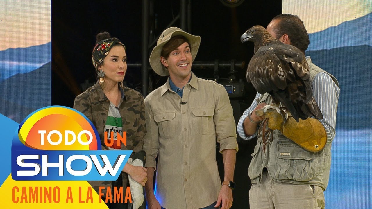 Águila real mexicana, símbolo de poder y fuerza | Todo un show