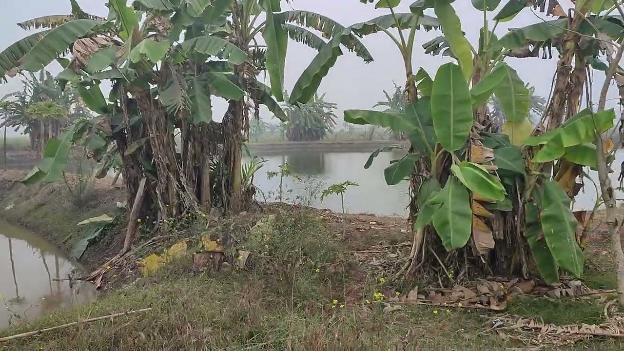 Fishing & Environment