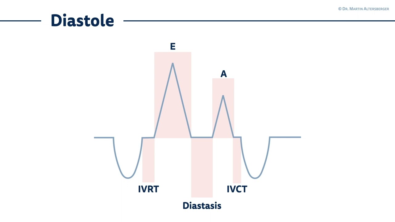 〖Echocardiography〗 Diastolic dysfunction II - time intervals & ECG 🫀