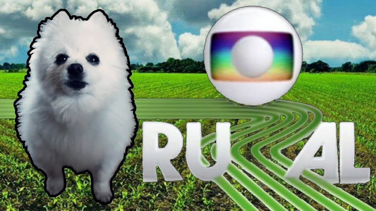 GLOBO RURAL em CACHORRÊS