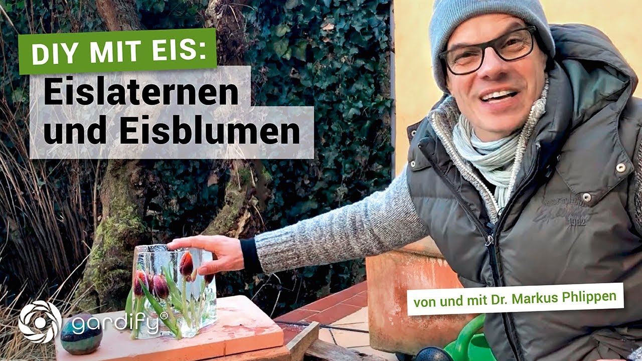 DIY mit Eis: Eislaternen und Blumen in Eis | gardify Tipps