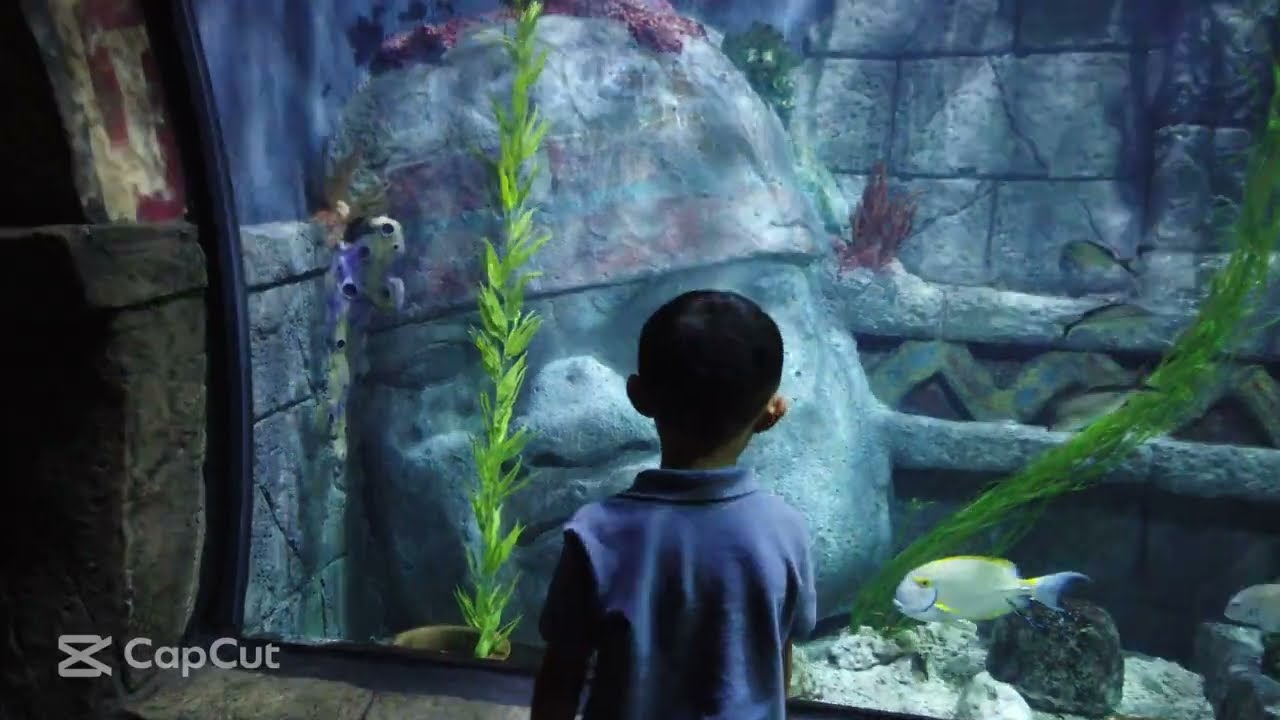 [4K] Downtown Aquarium - Houston
