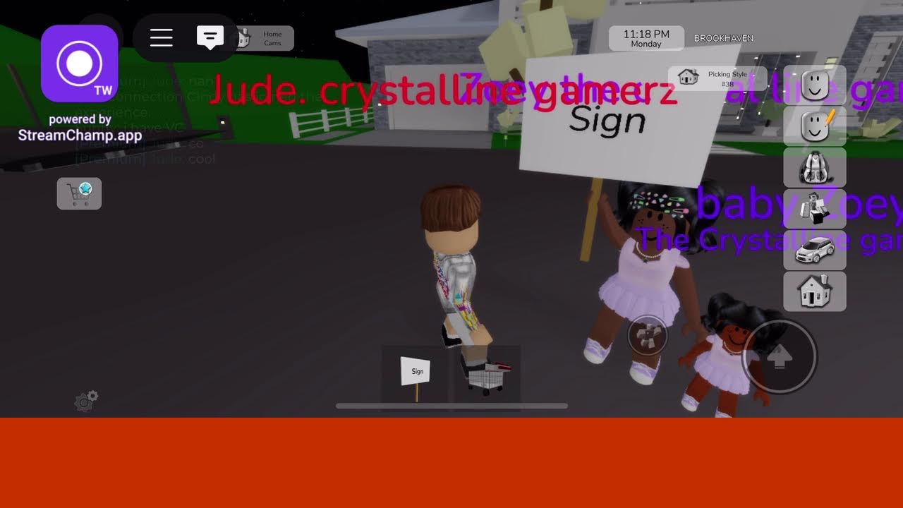 some friends in roblox