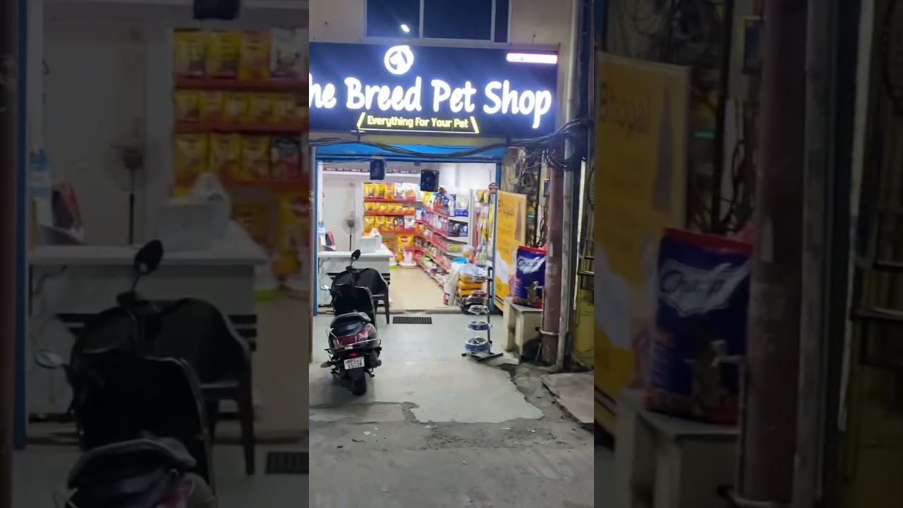 A Complete Pet Shop In Bhopal #petshop #bhopal #indrapuri #minal #narela #youtube #trending #pets