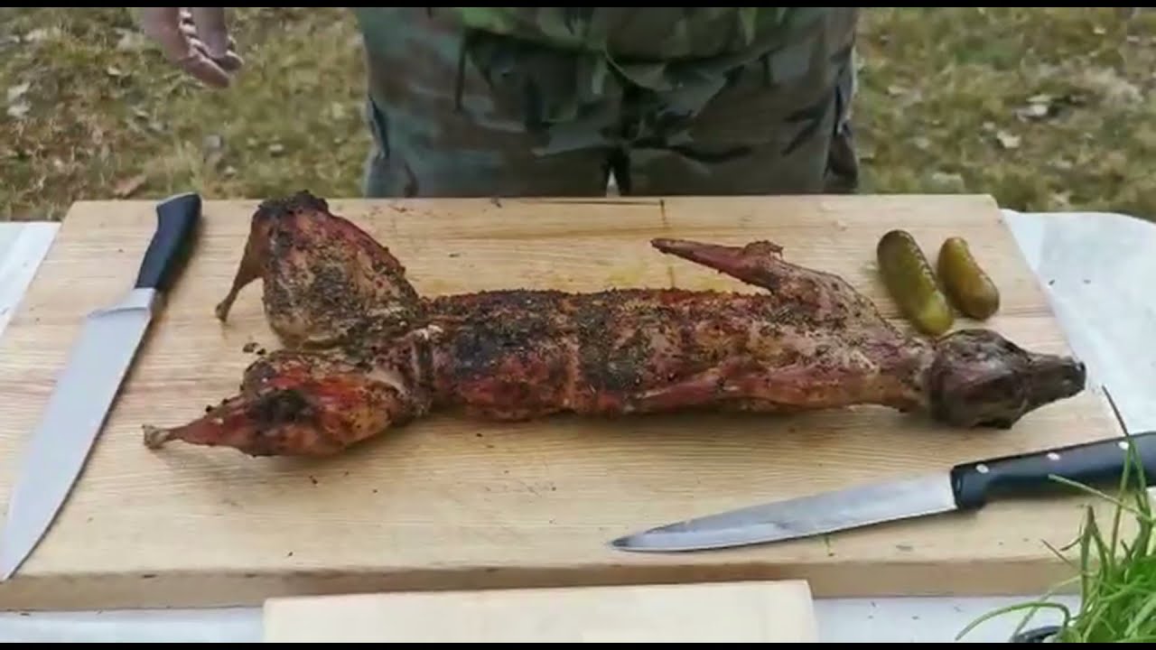 PEČENÝ KRÁLÍK s tučňákem v kuchyni 47. díl
