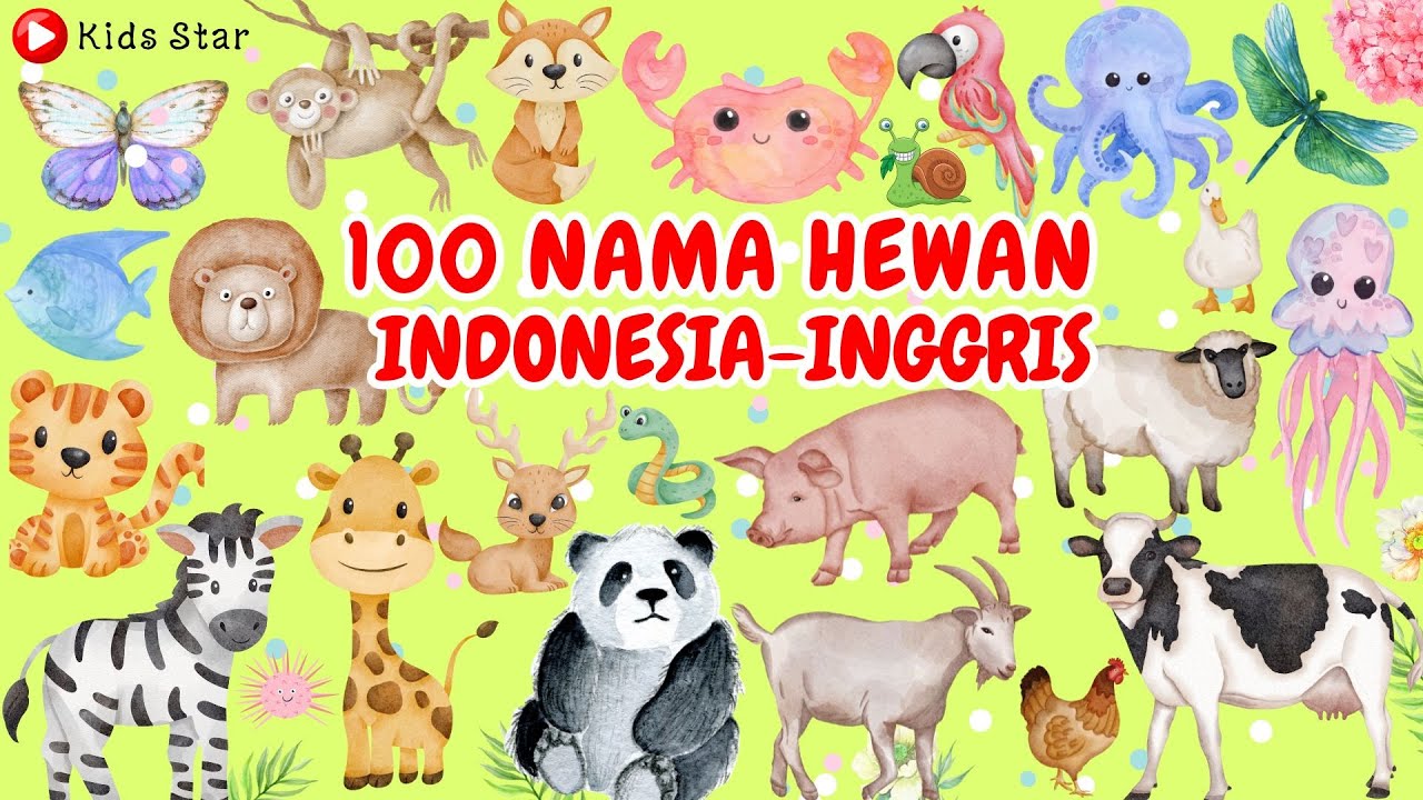100 NAMA HEWAN BAHASA INDONESIA & BAHASA INGGRIS | BELAJAR NAMA HEWAN BINATANG LEARN OF ANIMALS NAME
