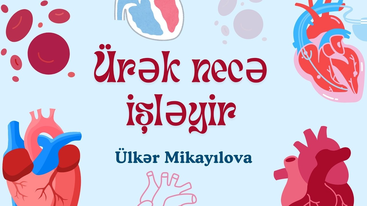 Ürək necə işləyir?Təbiət 6-cı sinif