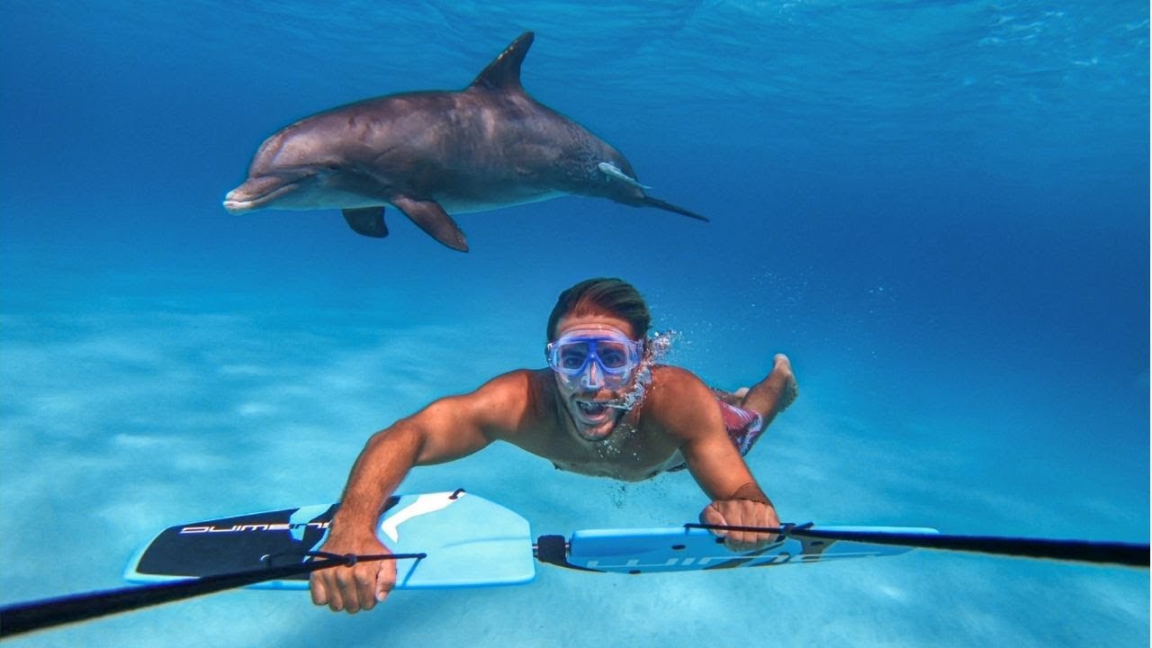 Subwing - Flying under water with Jojo the dolphin