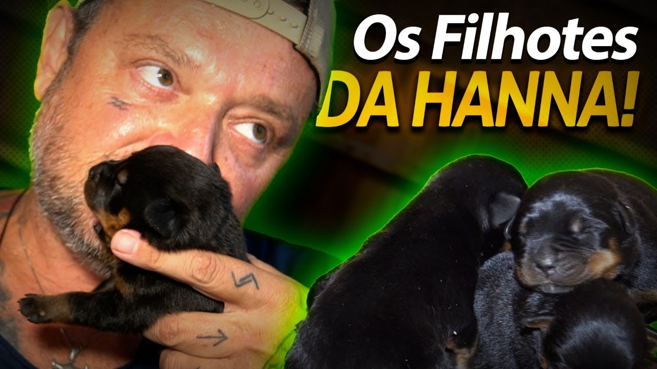 CONHECENDO OS FILHOTES DA MINHA ROTTWEILER! | A CASA DOS BICHOS