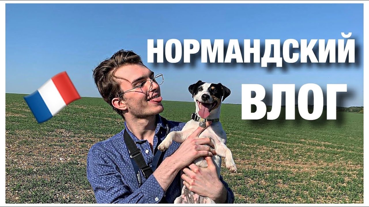 Влог Нормандия | карантин наедине с природой | делаем лазанью