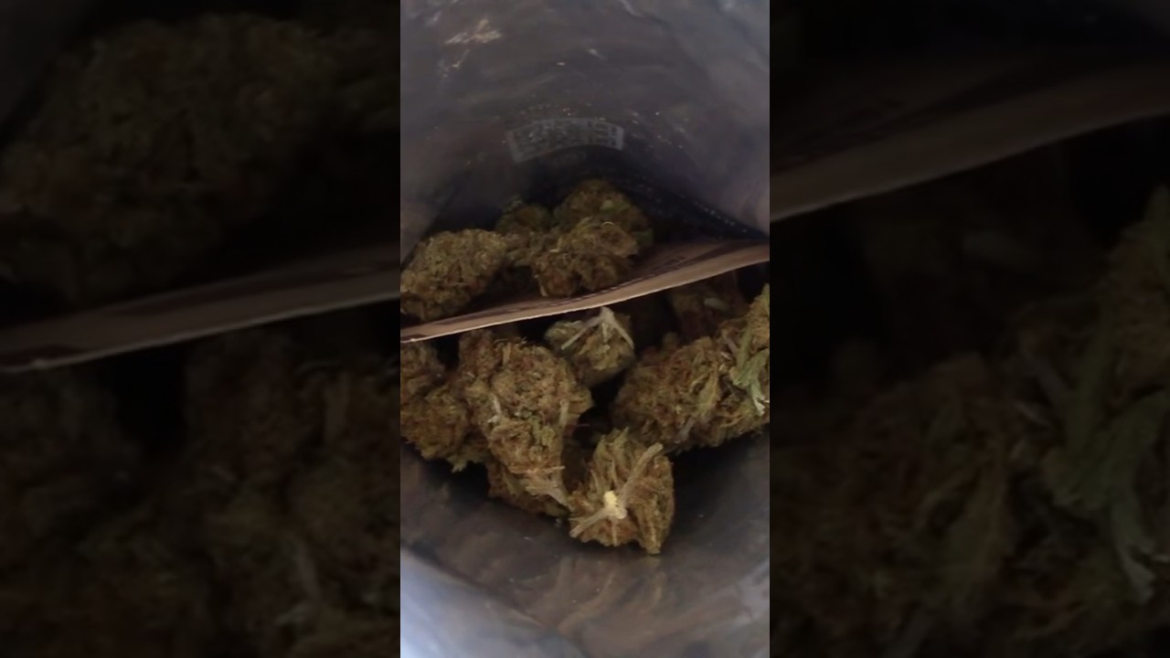 Sour Jack - WNC CBD Review #hemp #cbd #cbdflower #hempflower #flower #thc #sourjack #weed #review