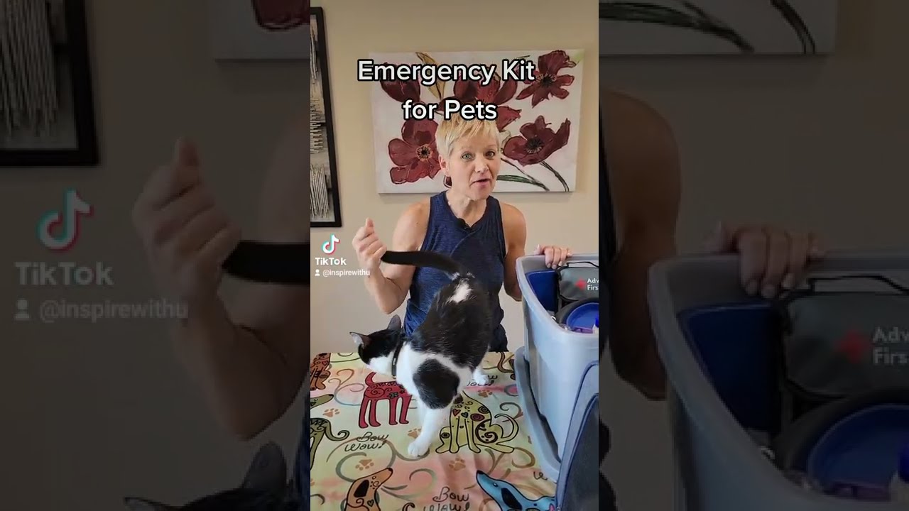 Emergency Kit for Pets