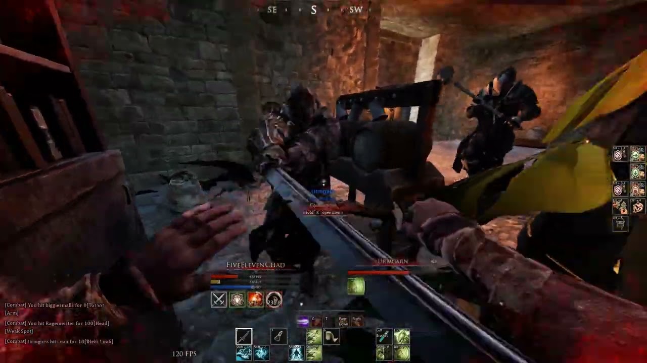 Keeping Companions Safe - Mortal Online 2 PVP