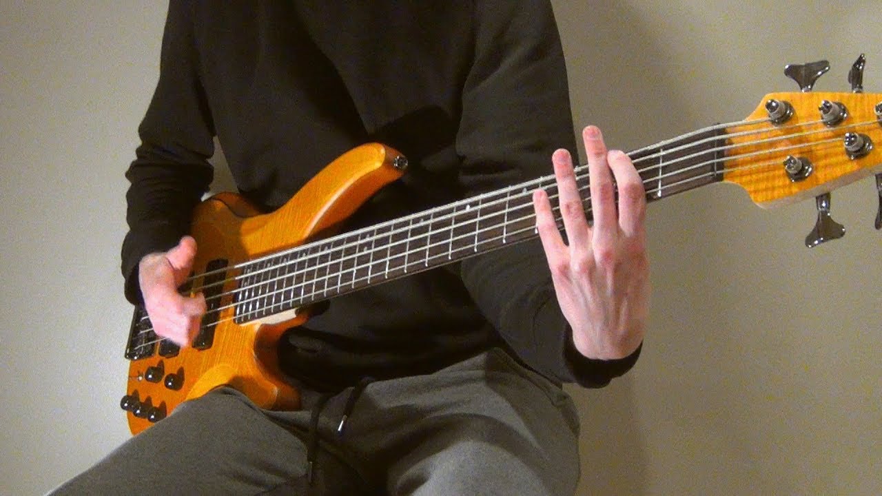 Bill Wurtz - i just did a bad thing (Bass Cover)