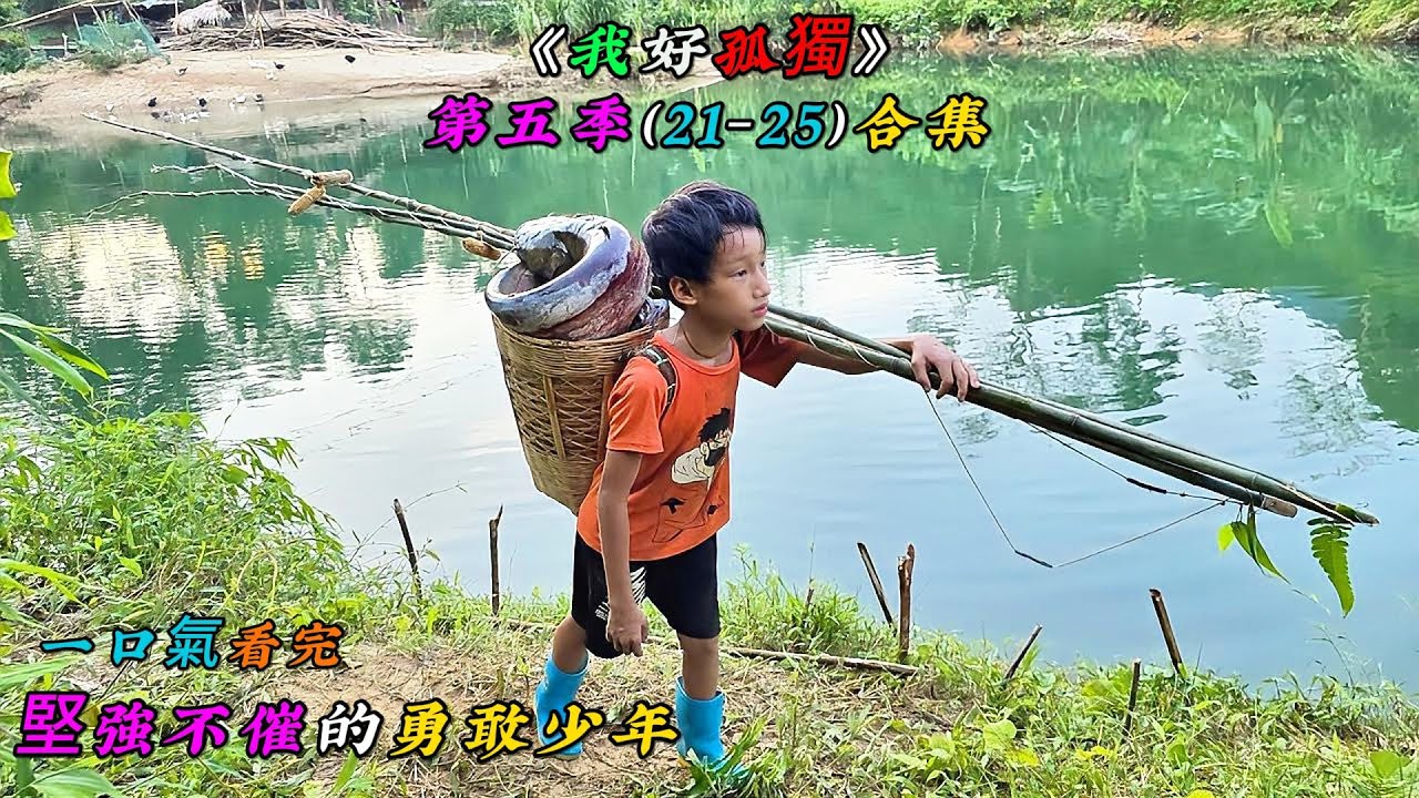 一口氣看完，堅強不催的勇敢少年《我好孤獨》第五季（21-25）合集