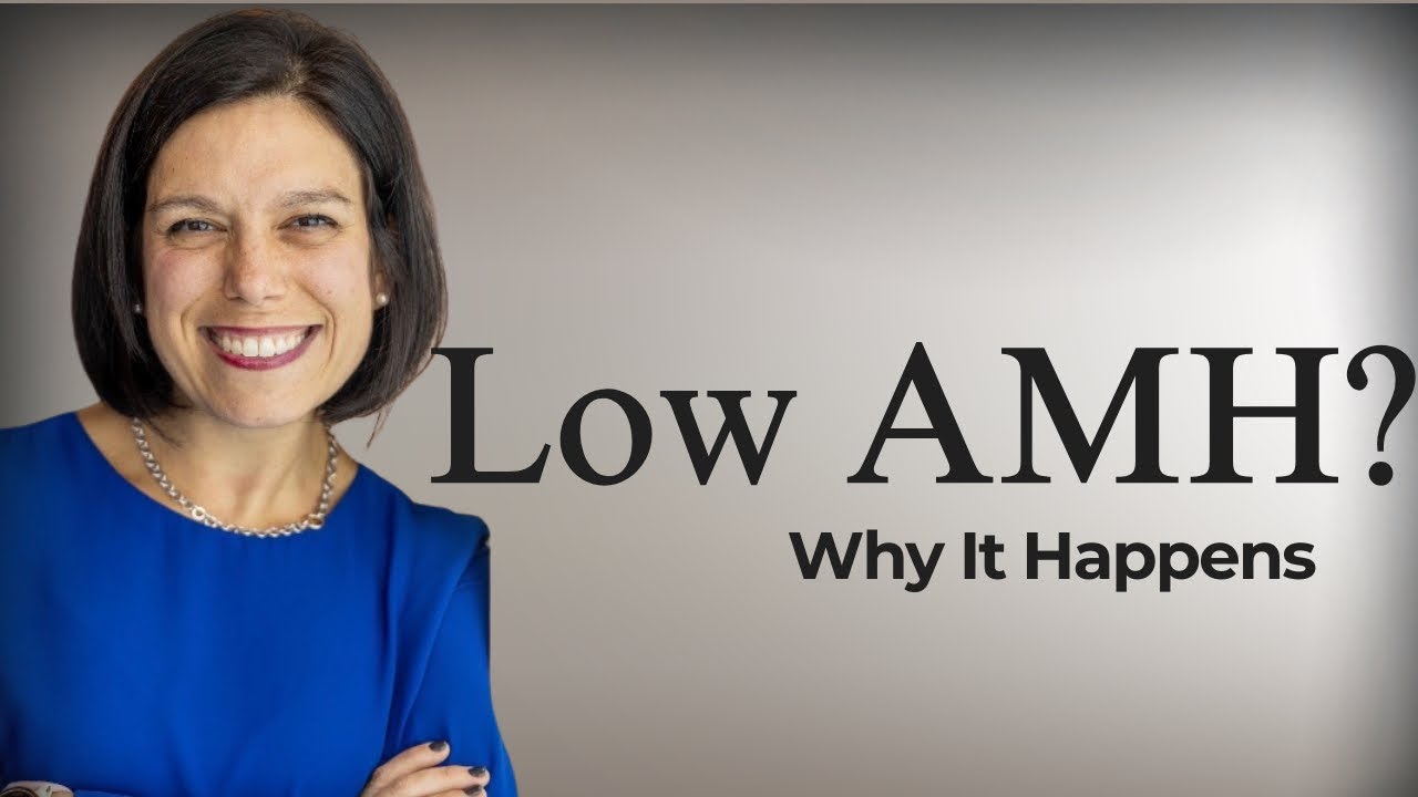 Ovarian Aging Explained: AMH, Egg Quality, and Actionable Strategies