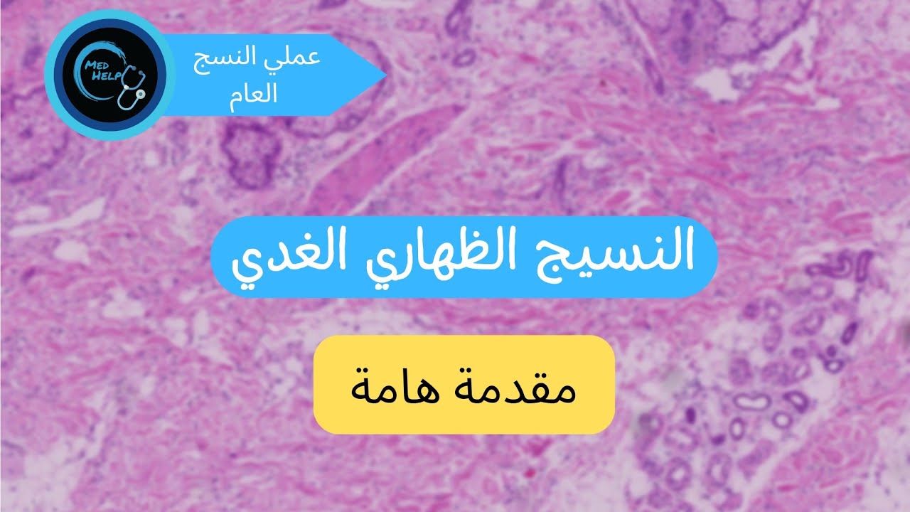 النسيج الظهاري الغدي ( مقدمة )