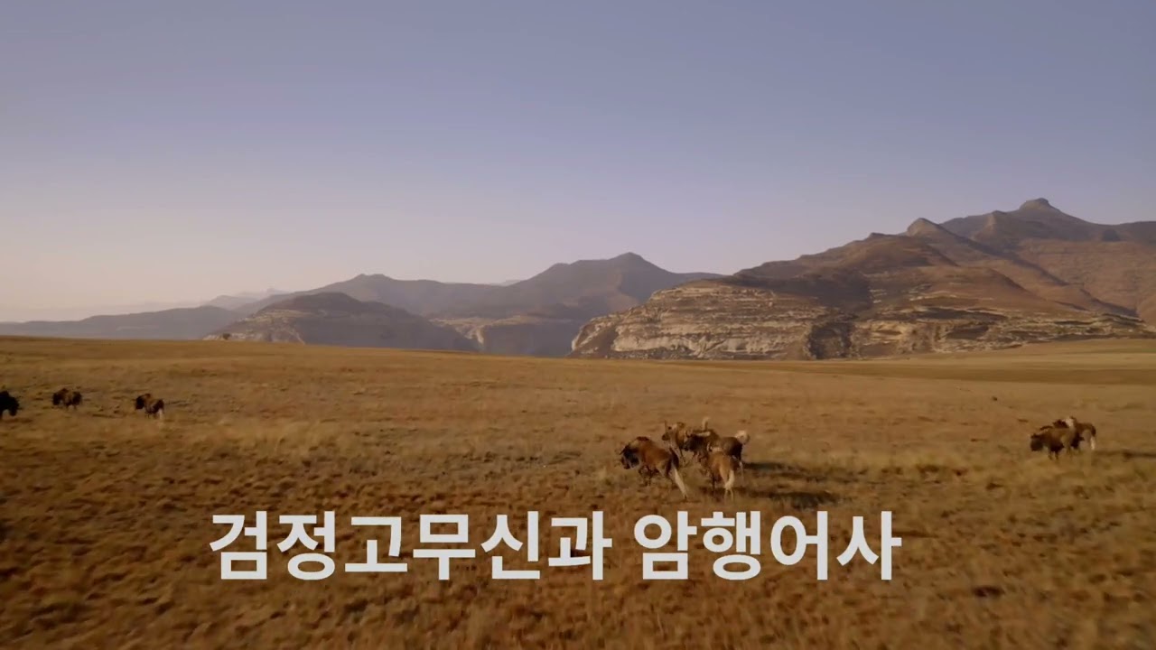 검정고무신과 암행어사