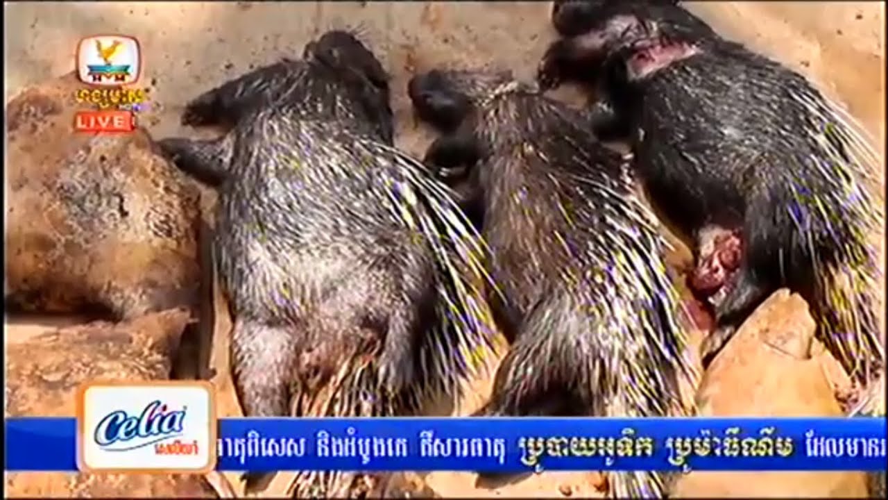 Khmer News, Hang Meas News, HDTV, 08 May 2015, Part 01
