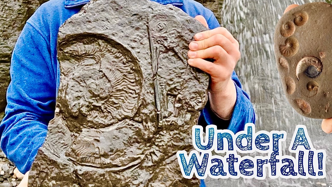 Reptile Jaws and an Ammonite Under A Waterfall! Fossil Hunting
