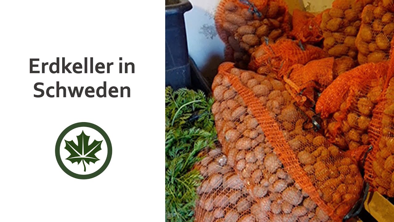 Erdkeller in Schweden – WUNDERBAR!