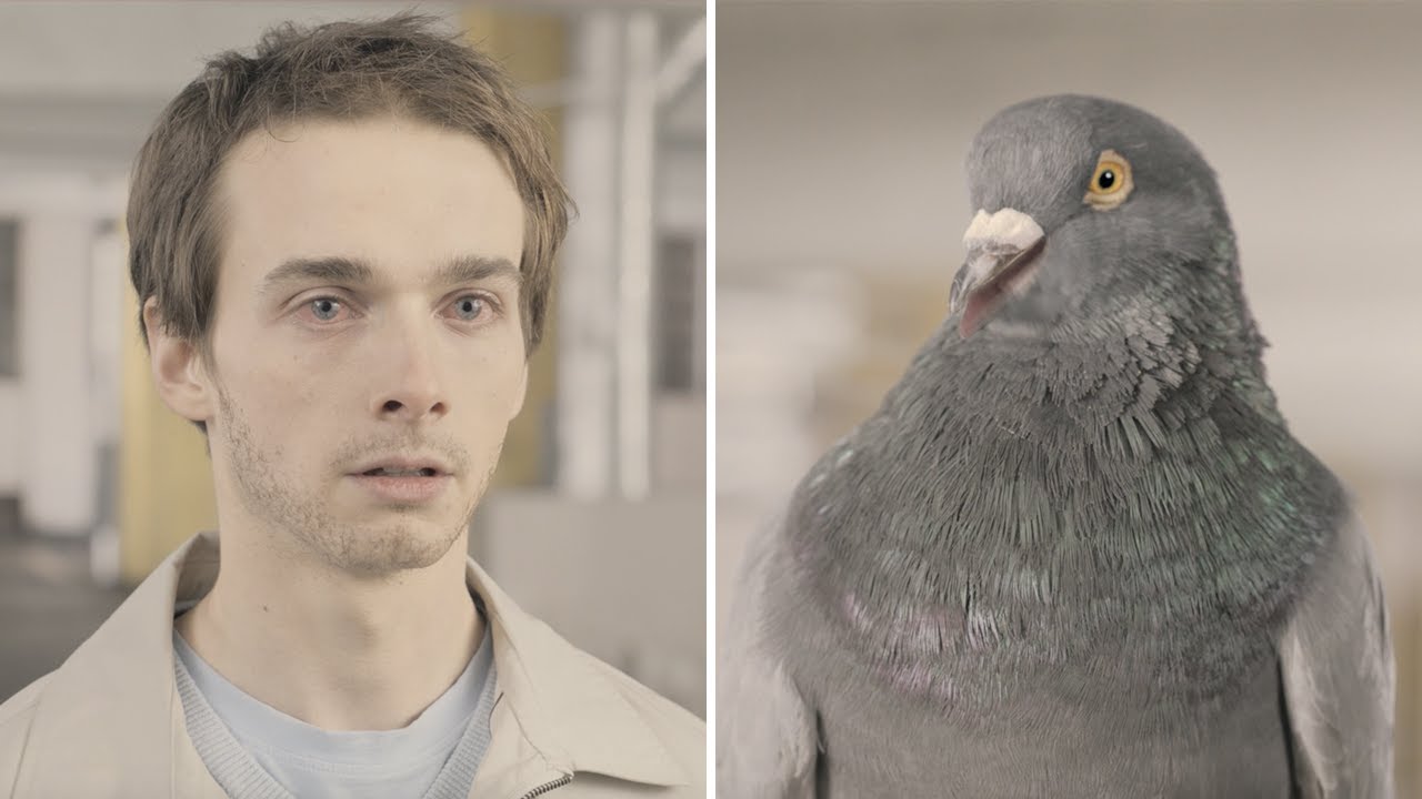 6 publicités créatives et chocs de la sécurité routière au Québec