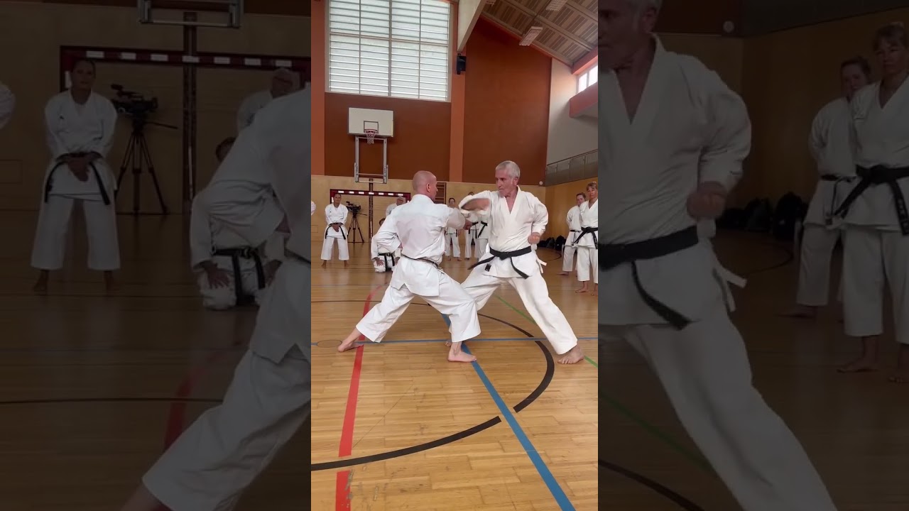 karate power💪#karate #viralvideo #karate1 #instagram #viralcontent #inshorts #fightingsport #viral