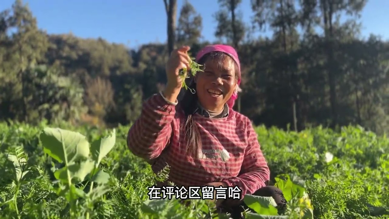 在地里煮火锅你体验过吗？如果你家也有像我家这样一块地，赶紧安排起来#乡村守护人 #乡村美食 #火锅 #云南方言 #记录真实的农村生活