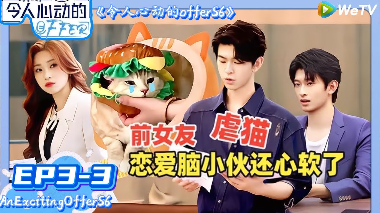 【令人心动的offer 第6季】 第3期下：实习生联手拯救被虐小猫 |An Exciting Offer S6 #令人心动的offerS6#律师 #实习生 #钟汉良 #佘诗曼