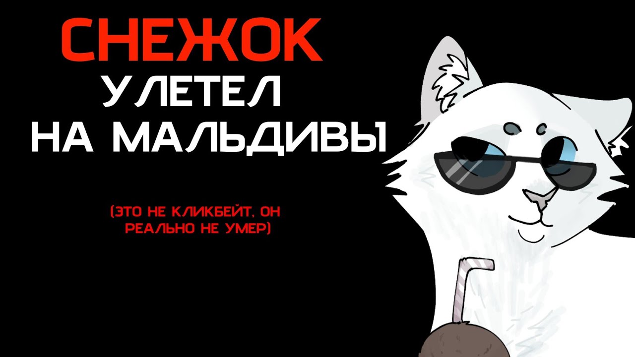 СНЕЖОК ЖИВ  || КОТЫ-ВОИТЕЛИ || #фыркающая #котывоители