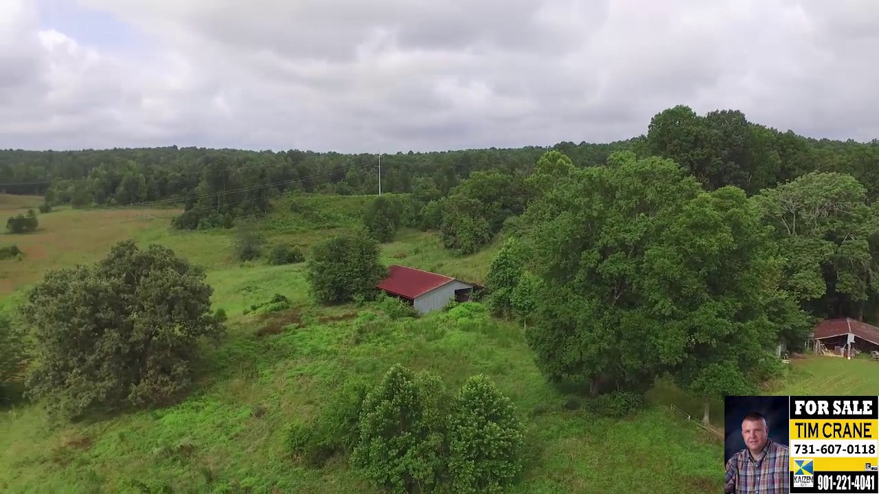 4825 HWY 142 STANTONVILLE TN - 5BD/ 2BA ON 87 ACRES - REAL ESTATE FOR SALE