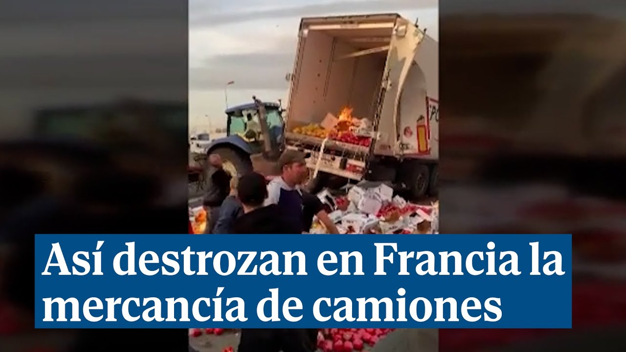 Así destrozan los agricultores franceses la mercancía de camiones españoles: 