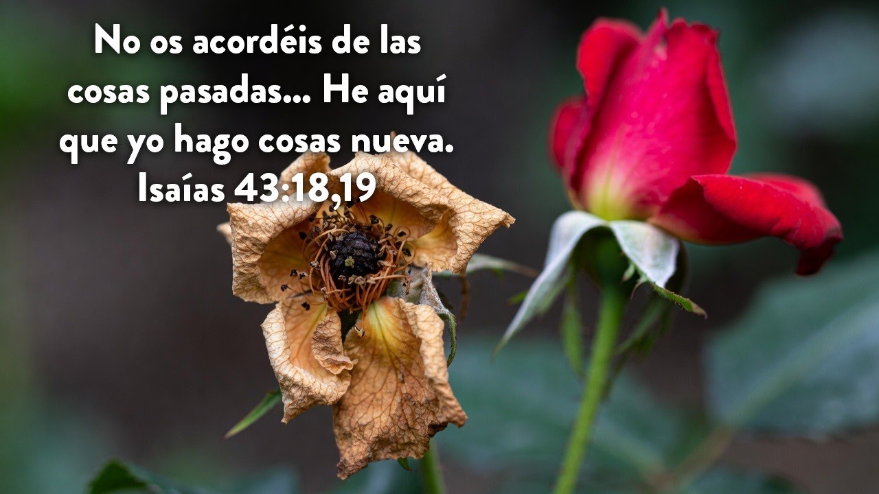 cuando el pasado pesa, Dios abre un nuevo camino #reflexion #motivacion #fe #biblia #dios