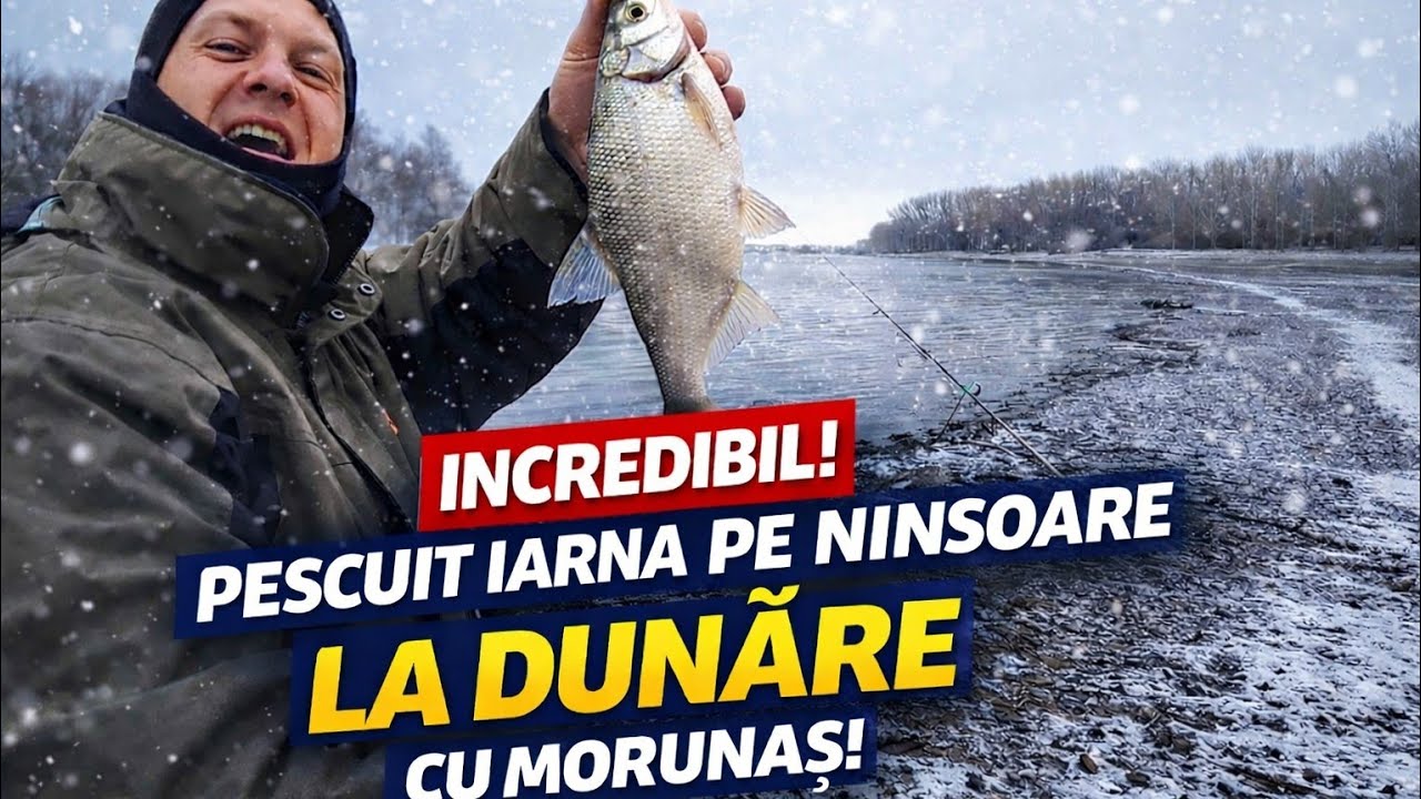 Pescuit la feeder la Cetate: Când Dunărea îngheață, morunașul trage!